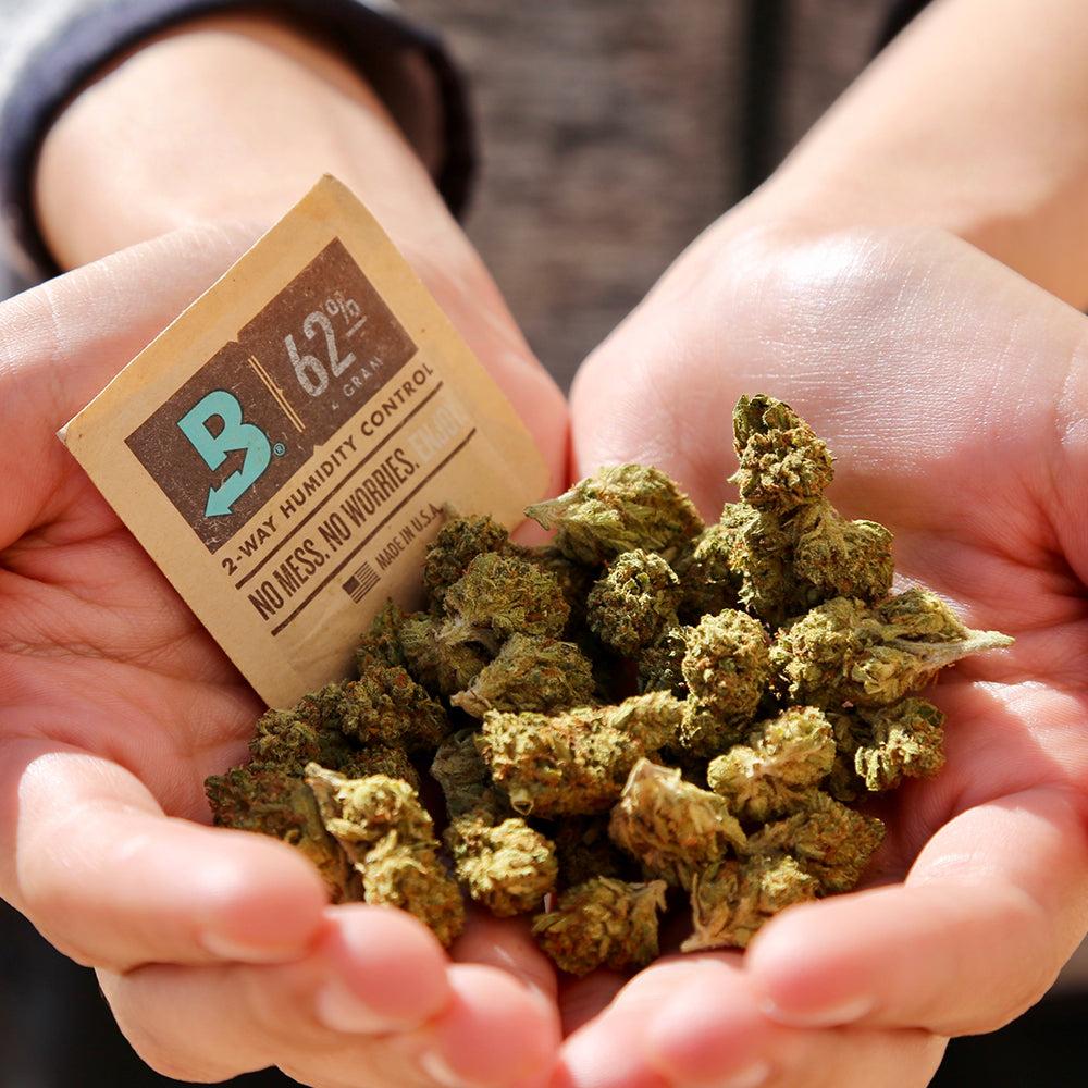 Boveda Size 4 for Cannabis, 62 RH 10Pack Lyphe Clinic