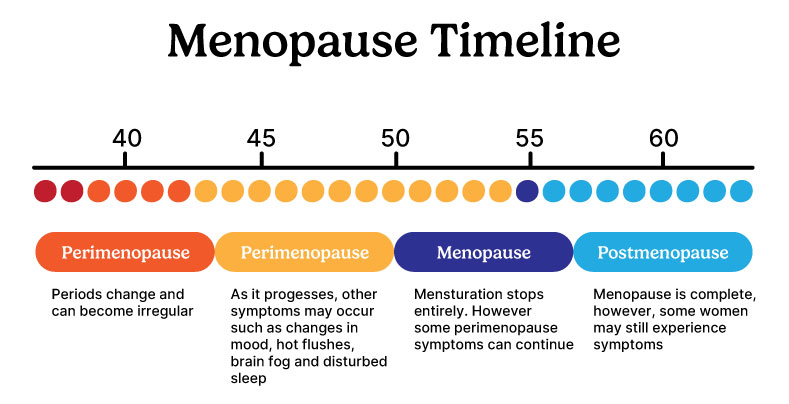 Menopause Timeline