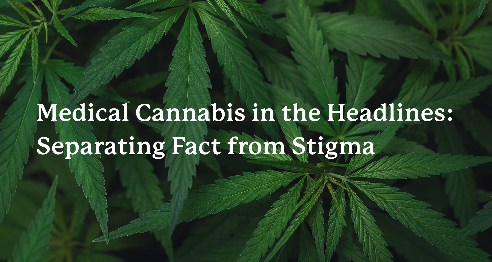 Blog cover: Medical Cannabis in the Headlines