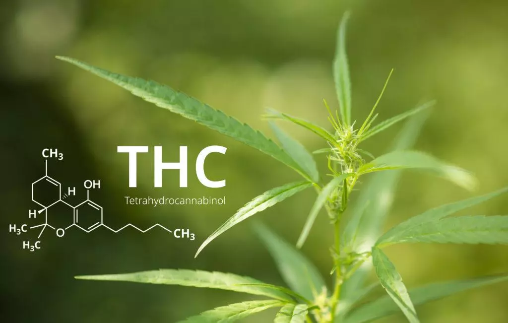 cannabis molecule