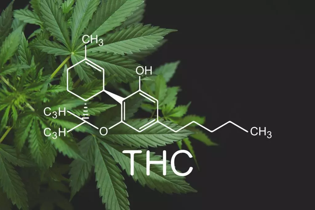 cannabis molecule