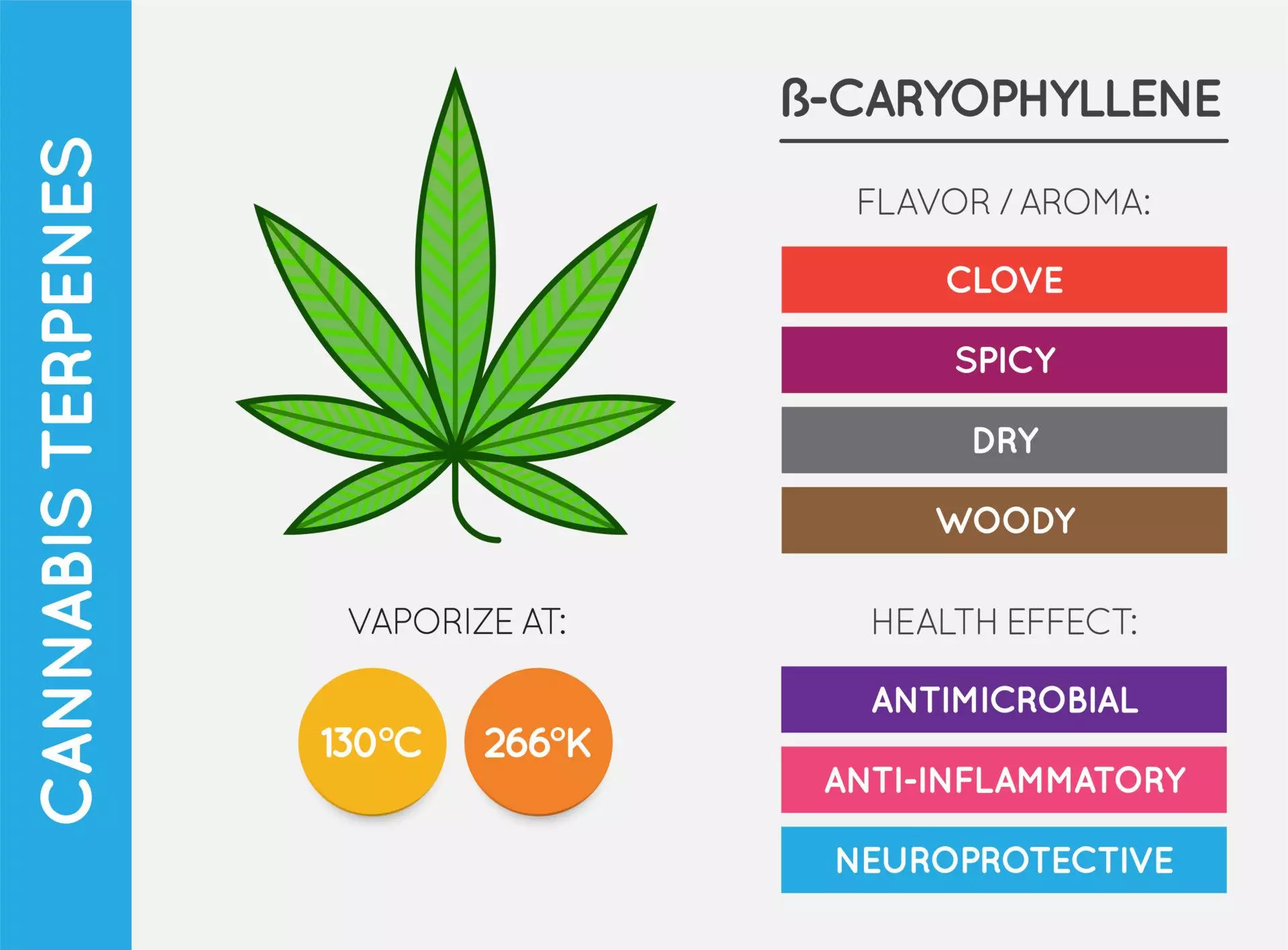 Cannabis terpene information chart.