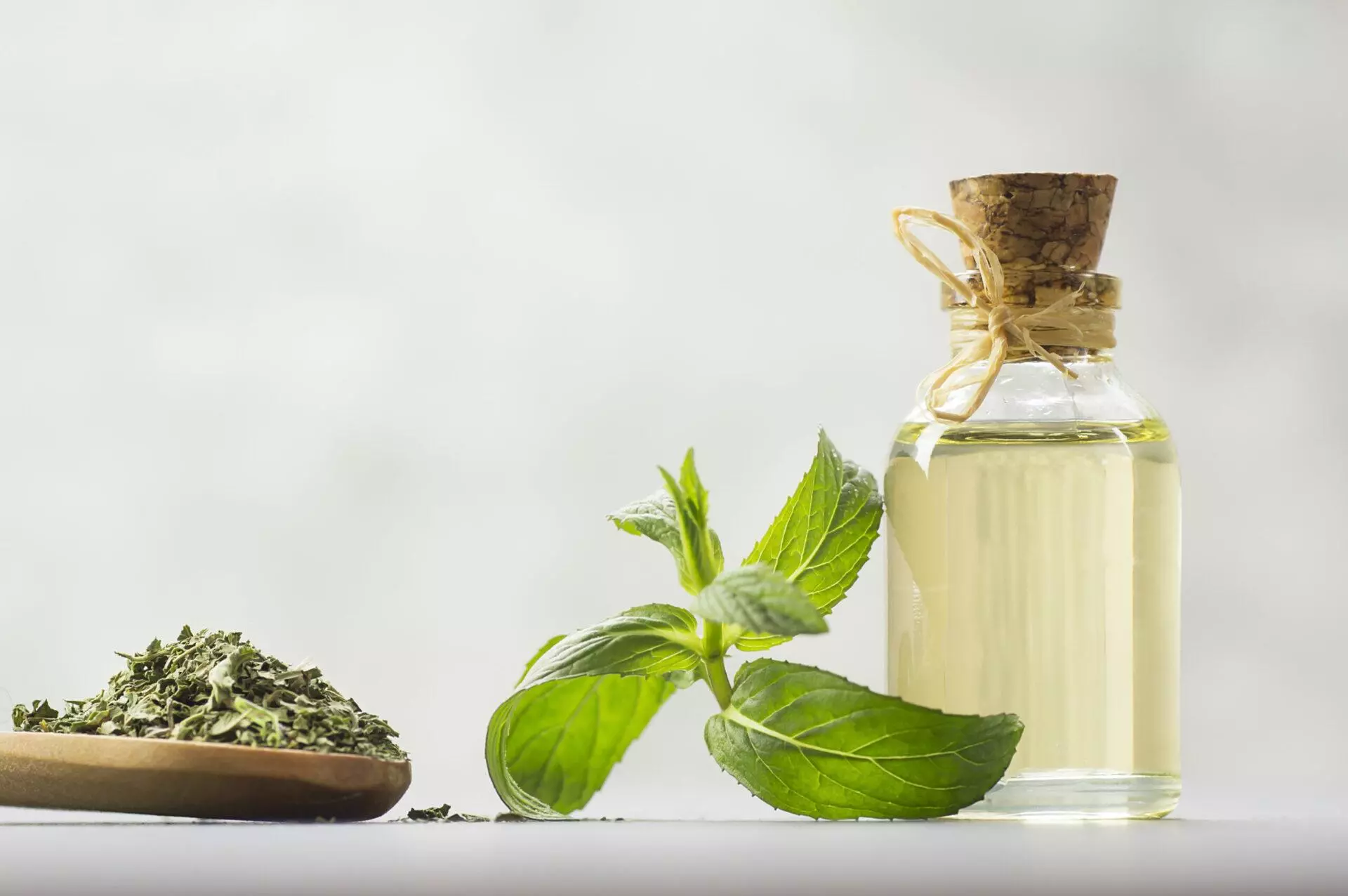 Glass bottle of peppermint essential oil with fresh green mint leaves and dried mint on rustic background