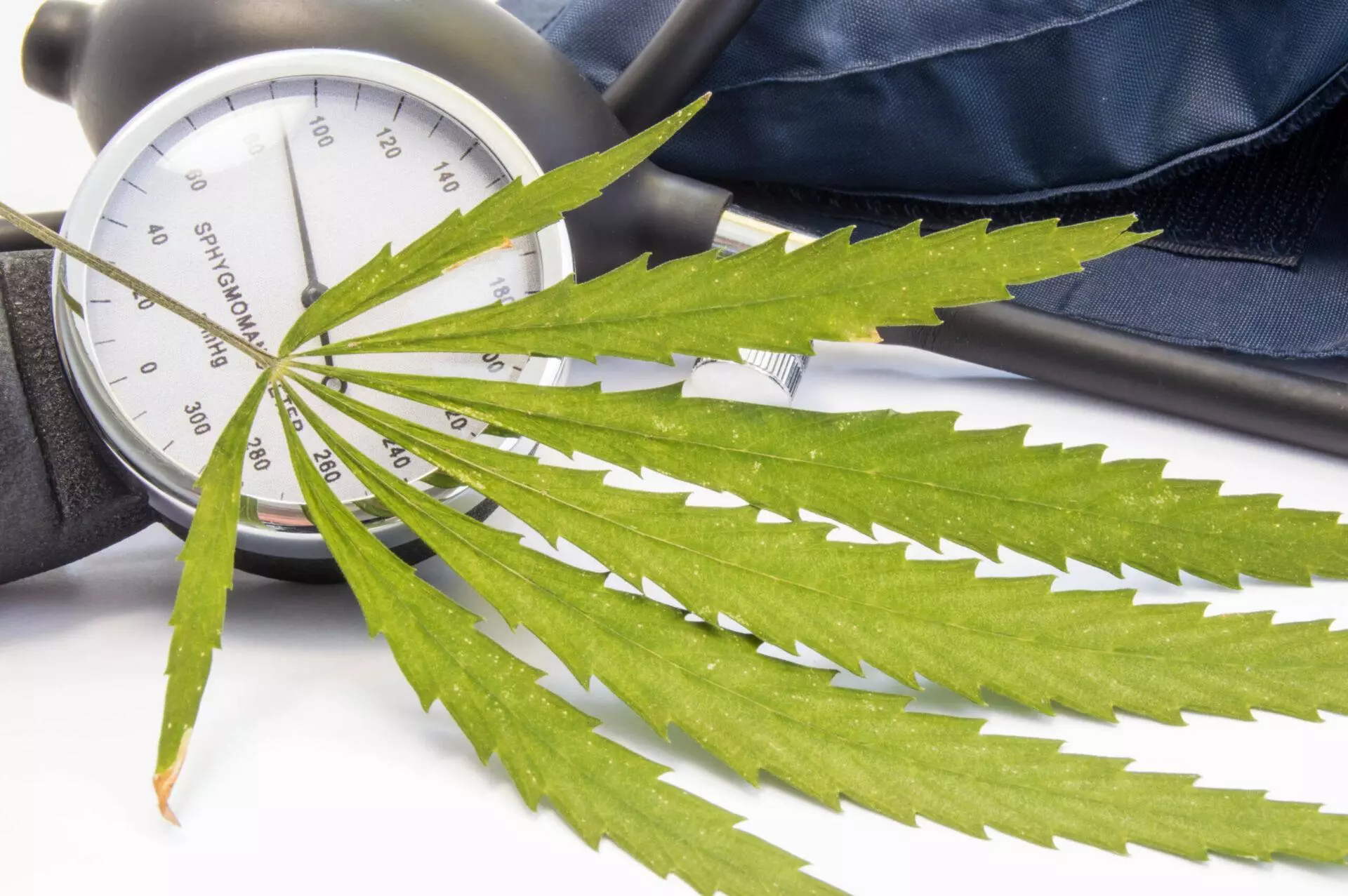 Green cannabis leaf lies near measuring scale of sphygmomanometer and inflated cuff