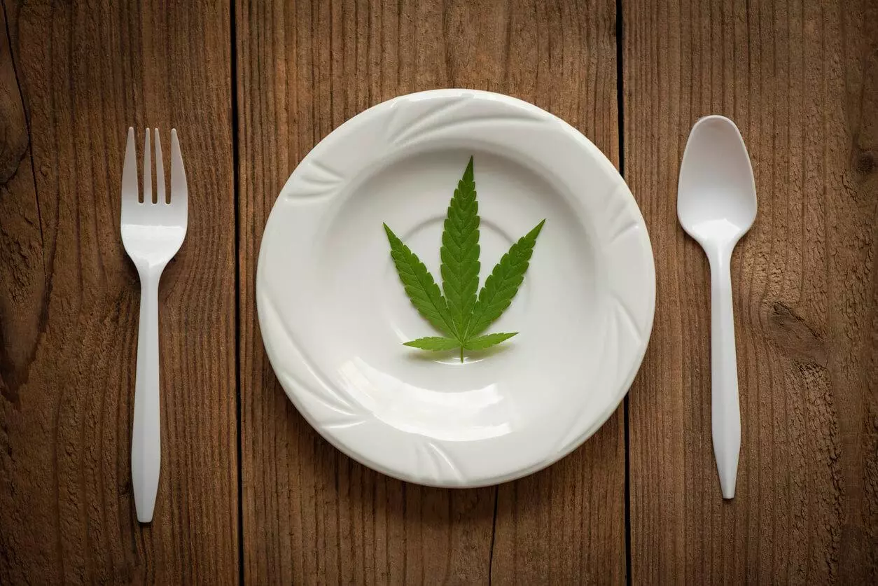 A cannabis leaf on a white plate, flanked by a plastic fork and spoon, symbolising the use of medical marijuana to stimulate appetite.