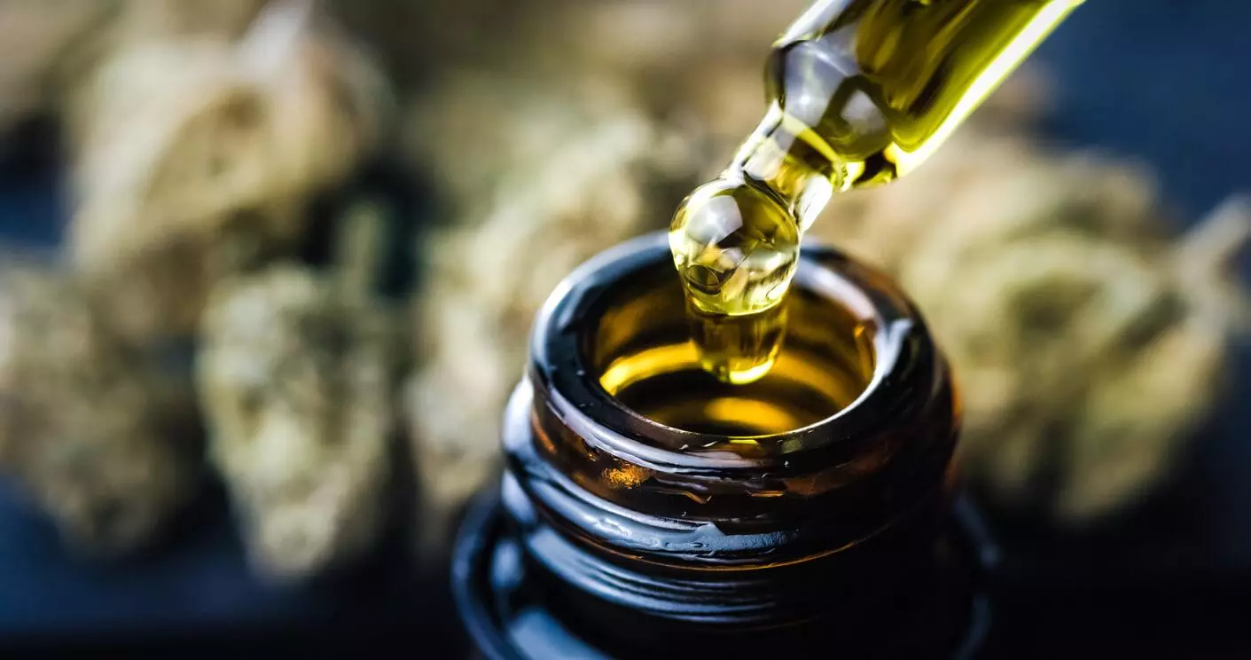 A dropper dispenses cannabis oil into a bottle with blurred cannabis buds in the background.