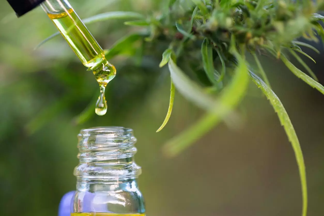 A dropper releases a drop of cannabis oil into a bottle, with cannabis plants in the background.
