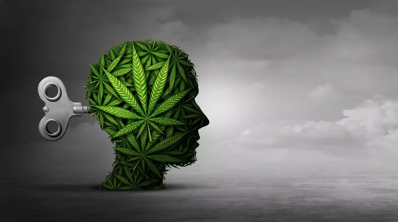 An illustration of a human head made of cannabis leaves, with a wind-up key inserted, symbolising the impact of marijuana on mental health.
