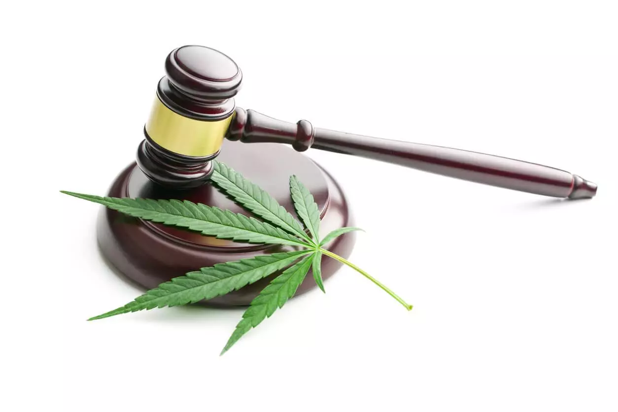 A judge's gavel rests beside a cannabis leaf, symbolising the legal aspects of marijuana.