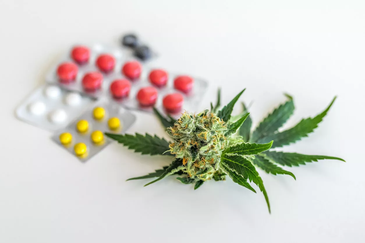 A cannabis bud and leaves are placed next to various blister packs of colourful pills on a white surface.