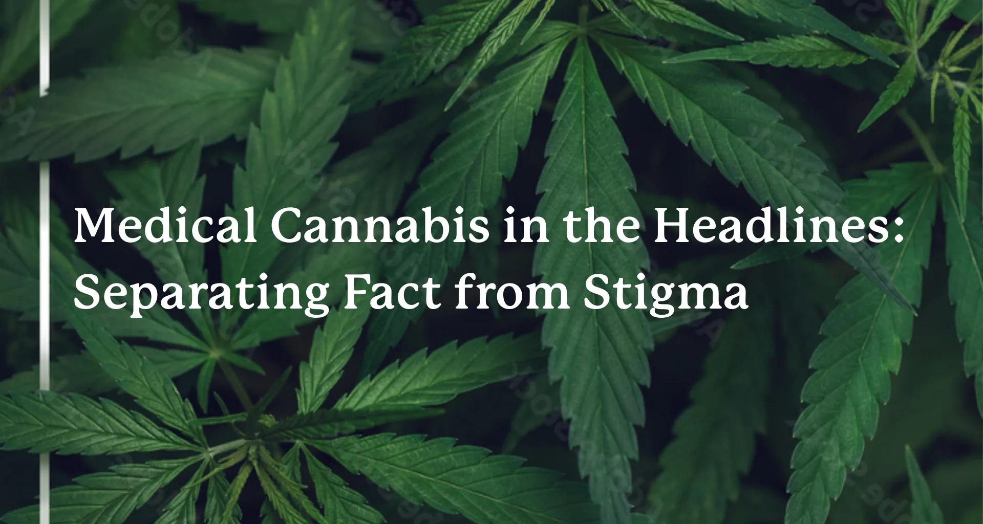 Medical Cannabis in the Headlines